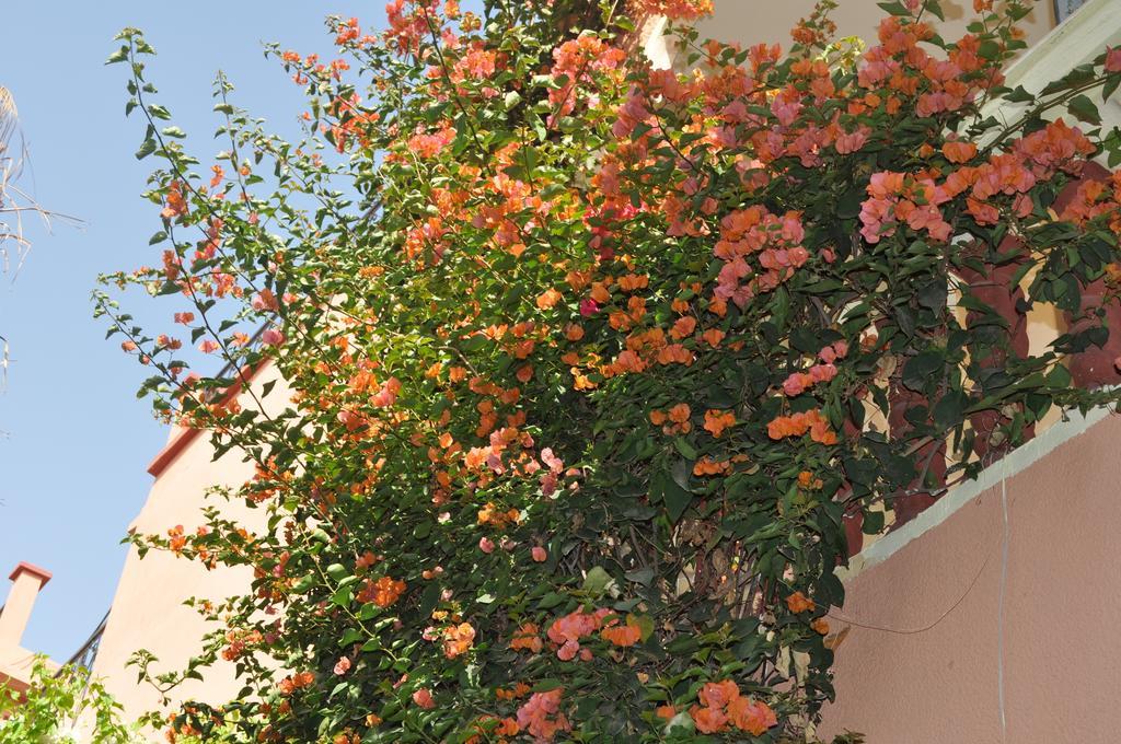 Zina Daire Marakeş Oda fotoğraf